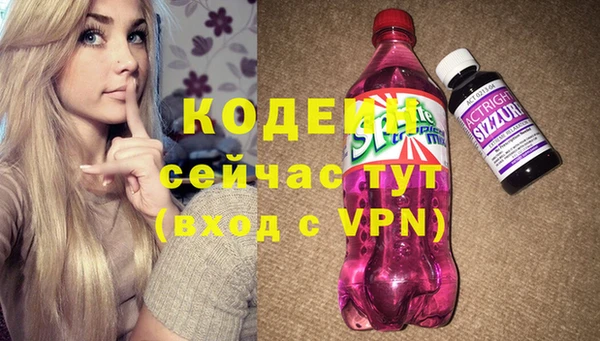 шишки Абаза