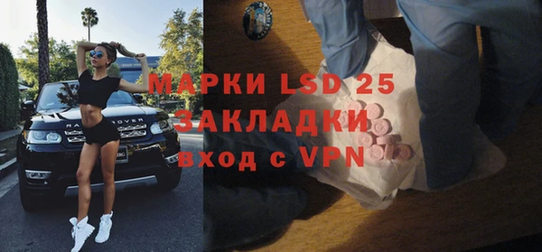 шишки Абаза